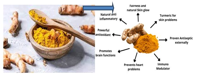 Curcumin – A promising phytocompound of immense potential 