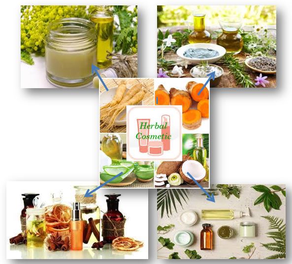 Utilization of Herbal Cosmetics: A brief overview 